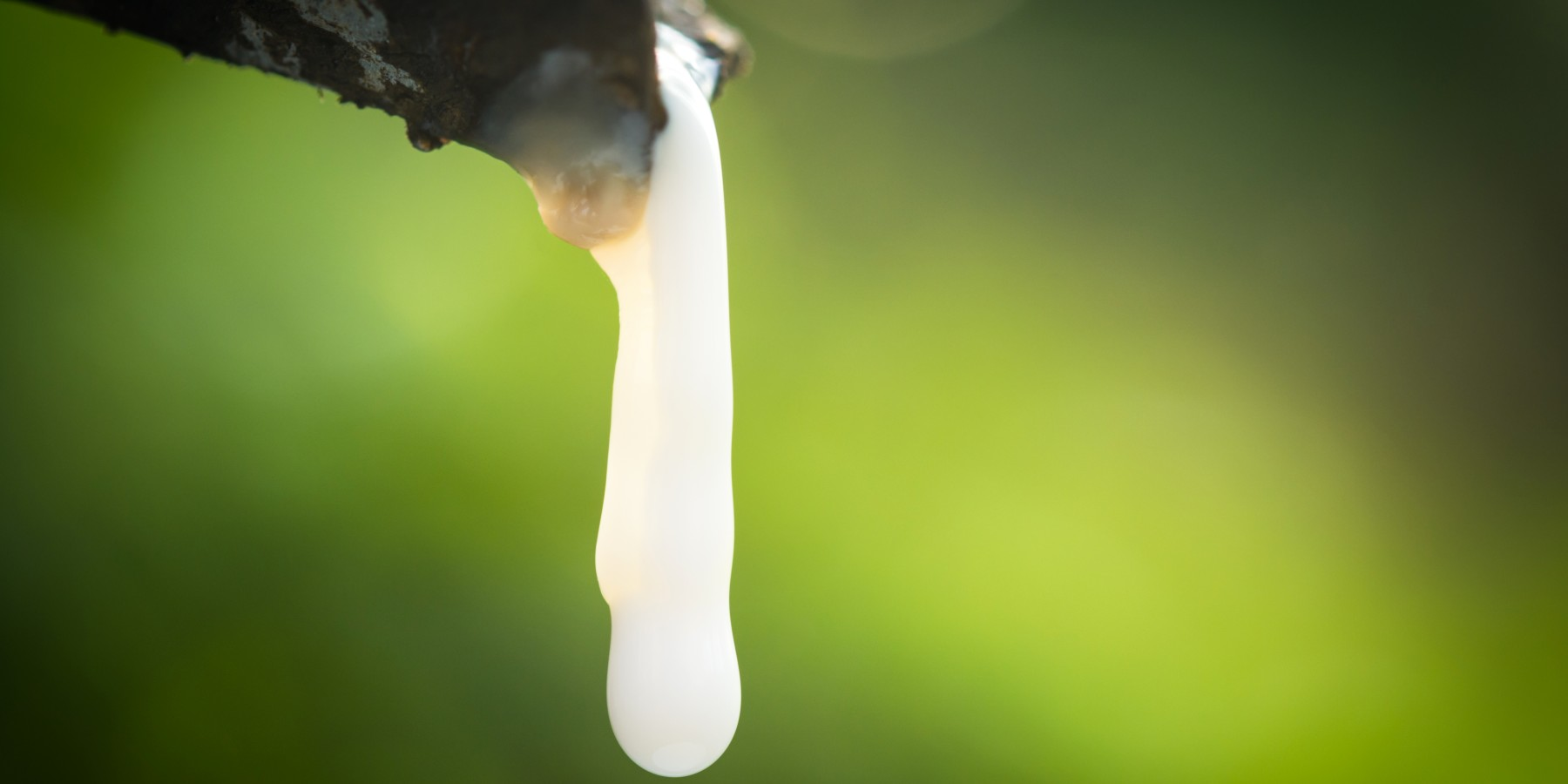 Natural rubber