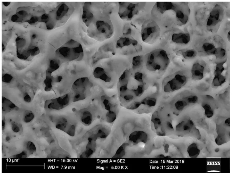 Surface Porous