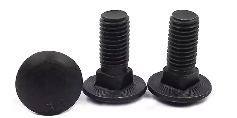 Carriage bolts
