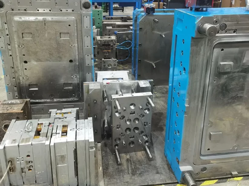 mold