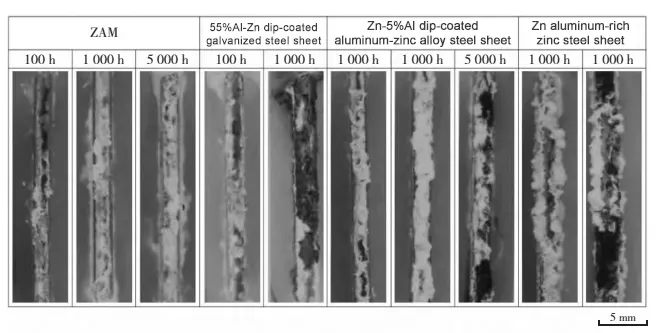 Figure 2 Appearance of the notched end surface after salt spray test