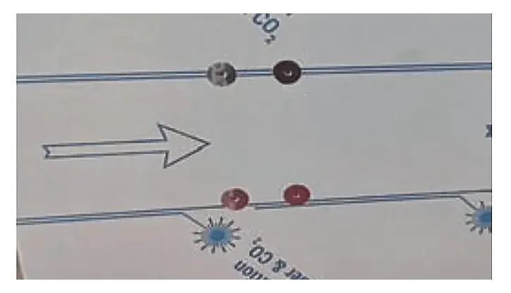 Figure 4 Surface condition after welding