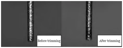 Figure 6 Microelectrode Tip Trimming Diagram