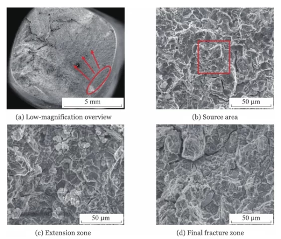 Figure 2 SEM morphology of the bolt fracture surface