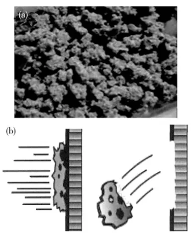 Ｆｉｇ．３ （ａ） Ｓｐｏｎｇｅ ａｂｒａｓｉｖｅ （ｂ） ｓｃｈｅｍａｔｉｃ ｄｉａｇｒａｍ ｏｆ ｓｐｏｎｇｅ ａｂｒａｓｉｖｅ