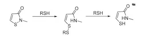 Fig 4 Reaction of thiol interactions between isothiazolinone and cellular components